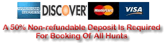 We accept American Express, Discover,Visa and MasterCard .