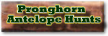 Keep Checking Back We will be Adding Our Pronghorn Antelope Area Soon.