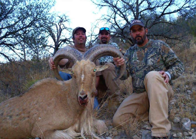 Texas Exotic Hunting Safaris With All Seasons Guide Service.