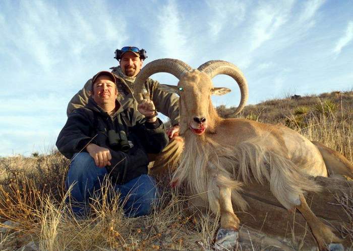 Texas Exotic Hunting Safaris With All Seasons Guide Service.