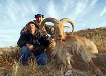Free Range Aoudad Sheep Hunting. Guided Hunts Texas Bighorn Sheep Hunting.