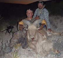 Free Range Aoudad Sheep Hunting. Guided Hunts Texas Bighorn Sheep Hunting.