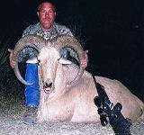 Free Range Aoudad Sheep Hunting. Guided Hunts Texas Bighorn Sheep Hunting.